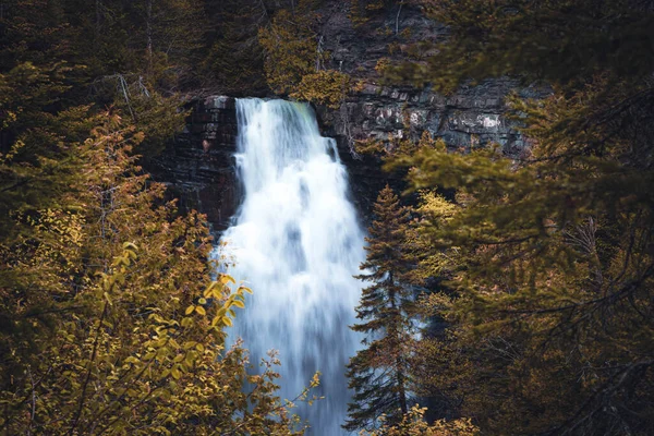 Waterfall Forest — Stock Photo, Image