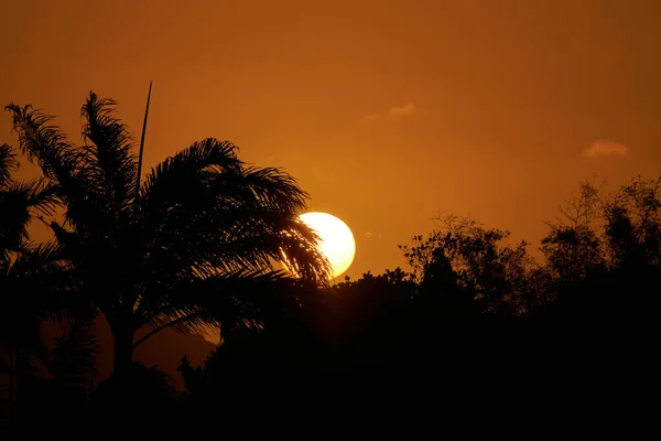 Schöner Sonnenuntergang Über Bäumen — Stockfoto