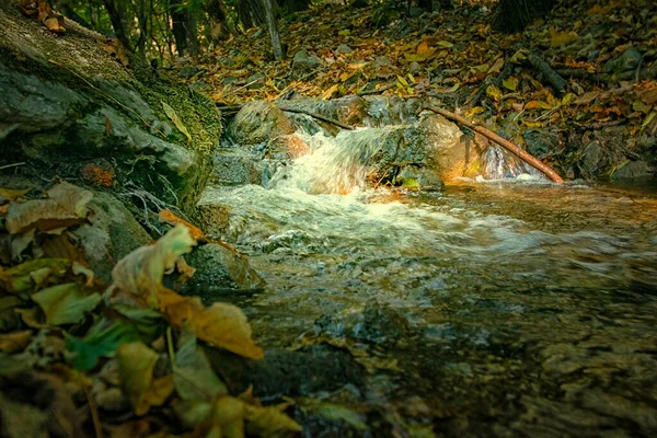 Schöner Kleiner Wasserfall Wald — Stockfoto