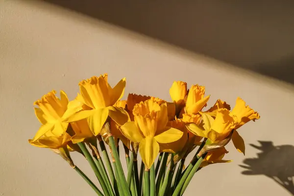 Flores Amarillas Vista Cerca — Foto de Stock