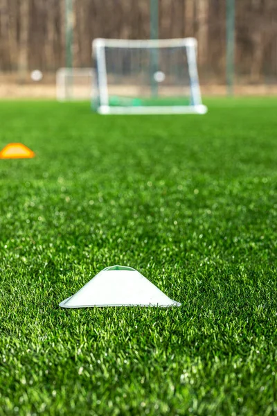 Boisko Piłki Nożnej Zieloną Trawą — Zdjęcie stockowe