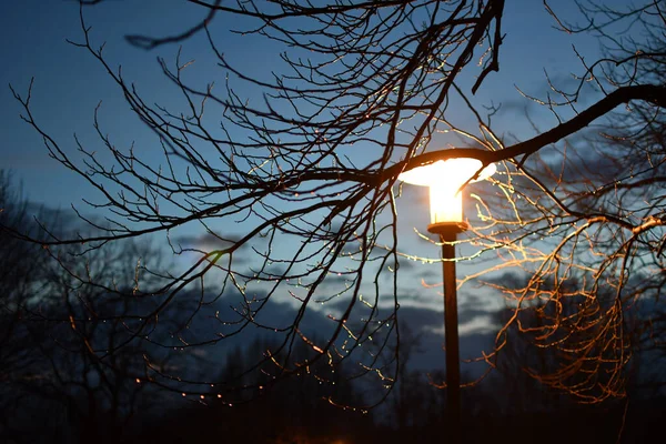 Linterna Cielo Nocturno —  Fotos de Stock