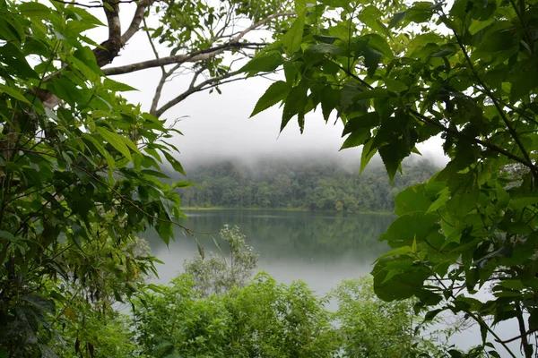 Schöner Blick Auf Den See — Stockfoto