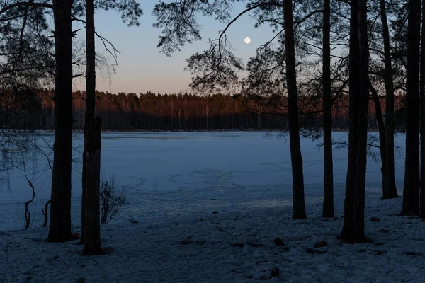 Wunderschöne Winterlandschaft Mit Schnee Und Bäumen — Stockfoto