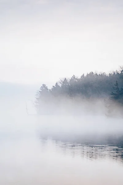 Matin Brumeux Dans Brouillard — Photo