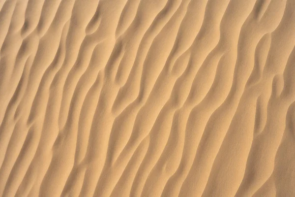 Wydmy Piaskowe Pustyni Sahara — Zdjęcie stockowe