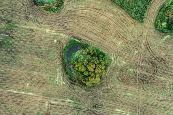 Letecký Pohled Zemědělské Pole — Stock fotografie