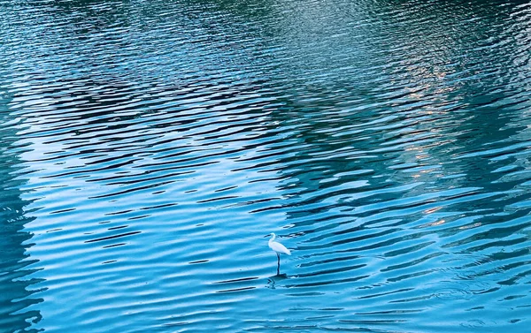 Fond Abstrait Avec Vagues Eau Bleue — Photo