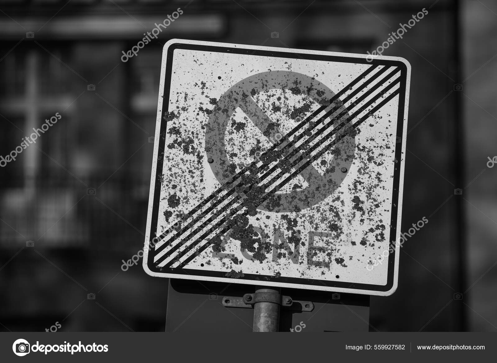 Black White Photo Police Car — Stock Photo © Wirestock #559927582