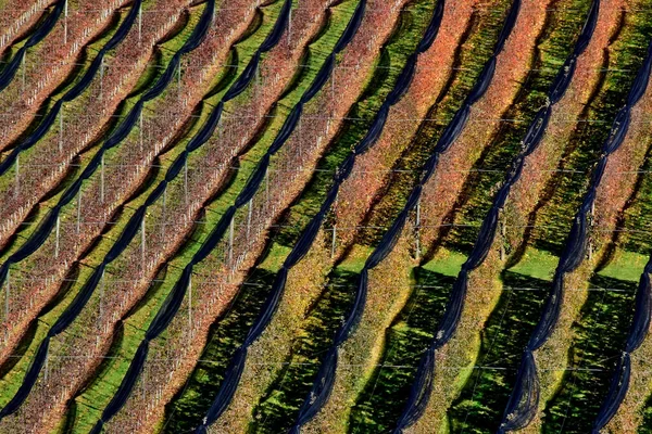 Vista Aérea Ciudad Capital Del Estado Israel — Foto de Stock