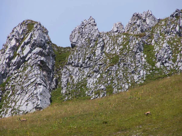 Gyönyörű Táj Egy Hegy Háttérben — Stock Fotó