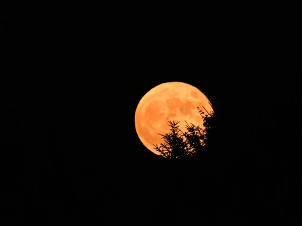 夜空中的月亮 — 图库照片