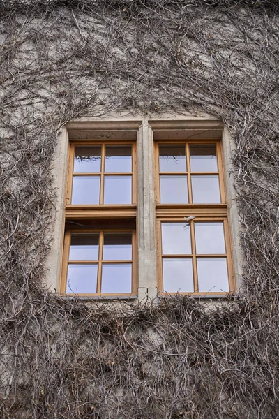 Vieja Ventana Madera Con Una Pared Blanca —  Fotos de Stock