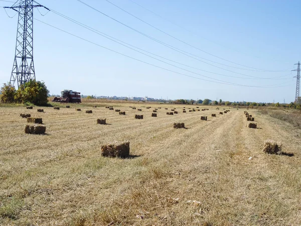 Uma Grande Pilha Fardos Feno Campo — Fotografia de Stock