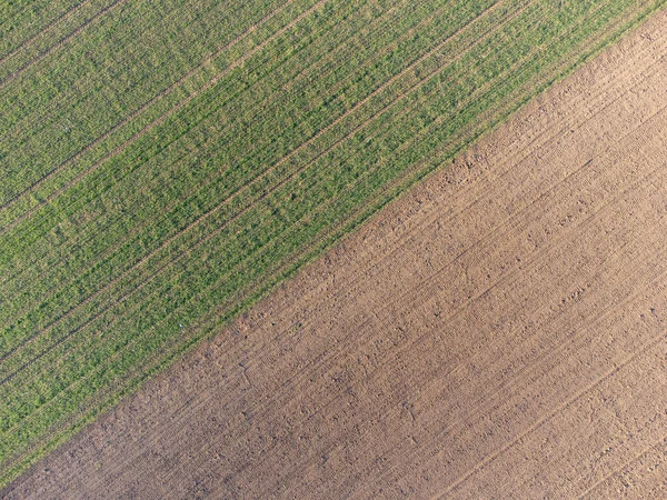 Bovenaanzicht Van Het Veld — Stockfoto