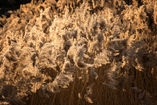 Belle Vue Sur Les Paysages Naturels — Photo