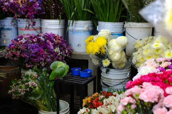 Flores Bonitas Mercado — Fotografia de Stock