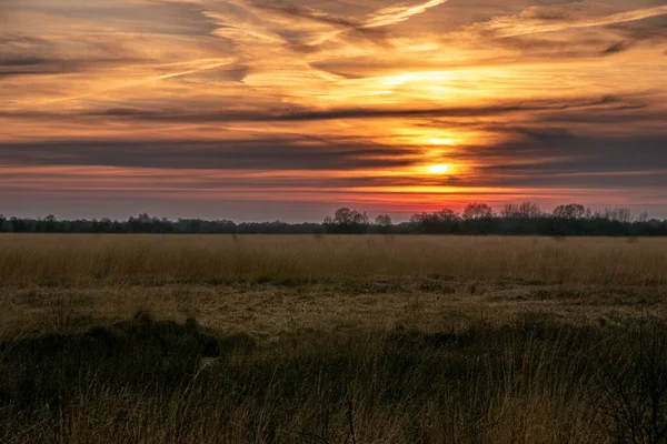 Zachód Słońca Nad Polem Rzeki — Zdjęcie stockowe