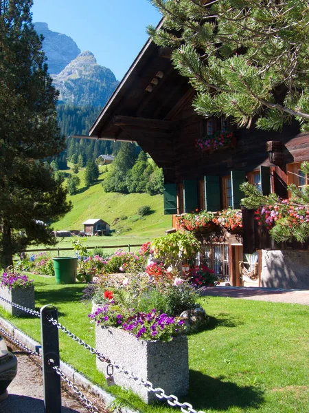 Hermosa Vista Los Alpes — Foto de Stock