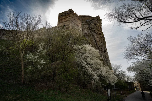 Velho Castelo Medieval Vista Está Nas Montanhas — Fotografia de Stock