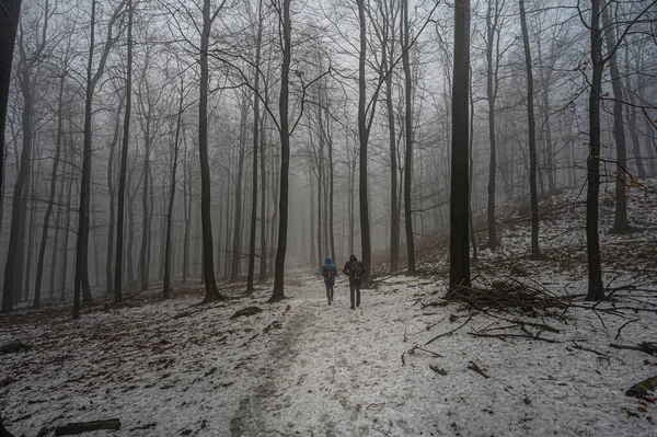 冬の森の人 — ストック写真