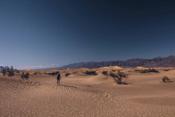 Beautiful Shot Desert Namib National Park Namibia — Stock Photo, Image