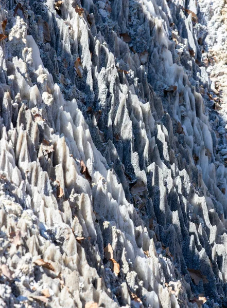 Verschneites Meer Winterlandschaft — Stockfoto