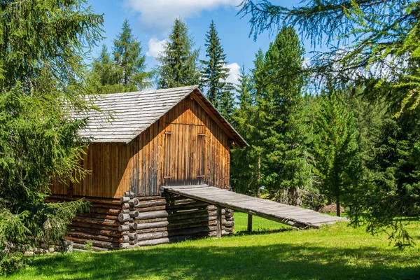 Altes Holzhaus Wald — Stockfoto
