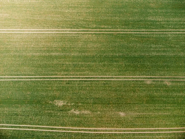 Вид Воздуха Зеленую Траву Поле — стоковое фото