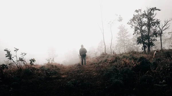 Человек Черной Куртке Белой Рубашке Гуляющий Лесу — стоковое фото
