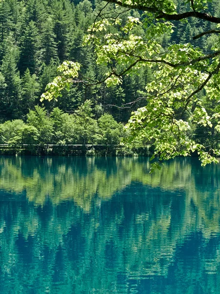 Красивое Озеро Лесу — стоковое фото