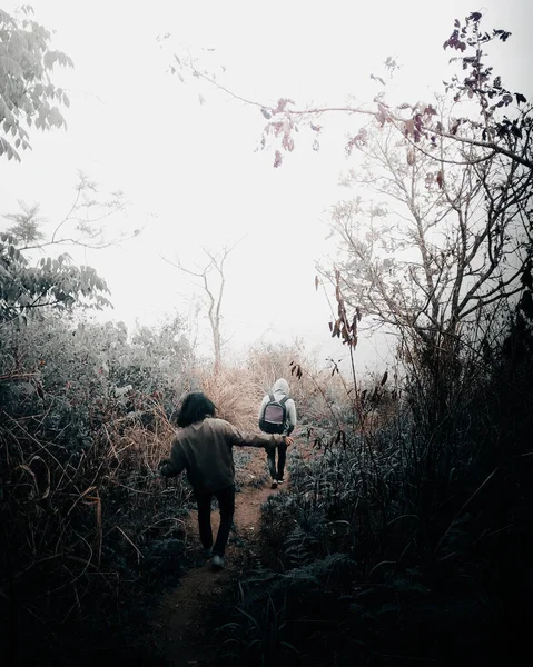 Gente Caminando Fondo Del Bosque — Foto de Stock