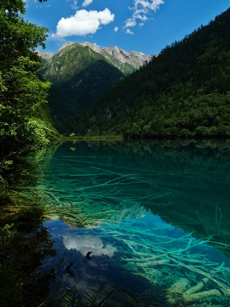 Beautiful Landscape Lake — Stock Photo, Image