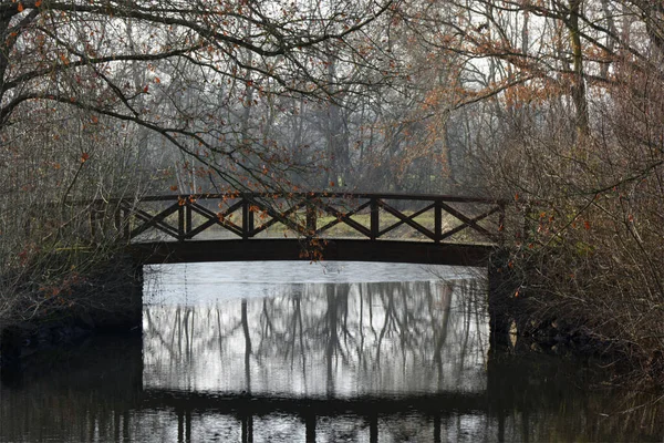 河上的一座旧木桥 — 图库照片