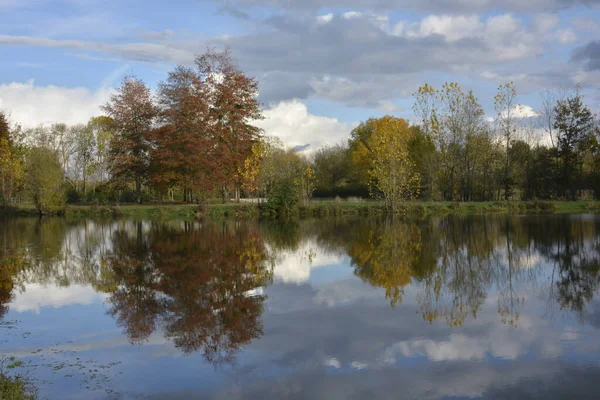 Vista Rio Floresta Outono — Fotografia de Stock