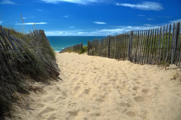 Belle Vue Sur Côte Mer — Photo