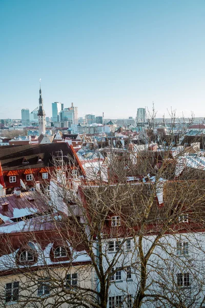 Vacker Utsikt Över Utomhus Scen — Stockfoto