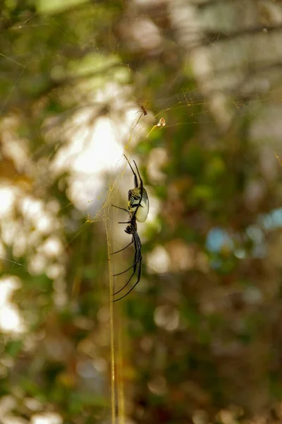 Schöne Sicht Auf Die Outdoor Szene — Stockfoto