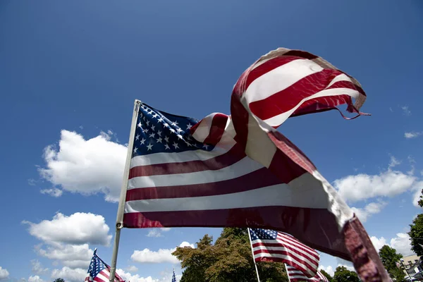 Amerikansk Flagga Vinden — Stockfoto