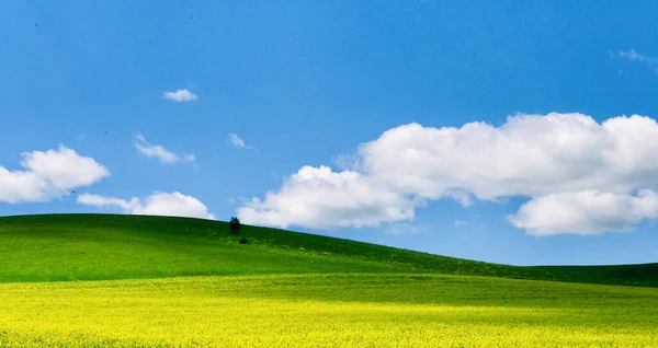 Bella Vista Della Scena All Aperto — Foto Stock