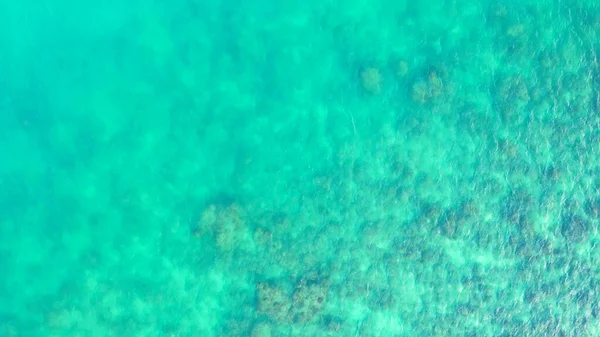 ヤシの木と青い水の美しい熱帯のビーチ — ストック写真