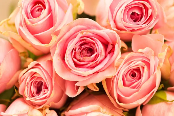 Όμορφα Τριαντάφυλλα Ένα Βάζο — Φωτογραφία Αρχείου