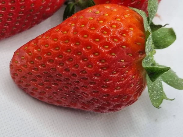 Fresa Fresca Sobre Fondo Blanco — Foto de Stock