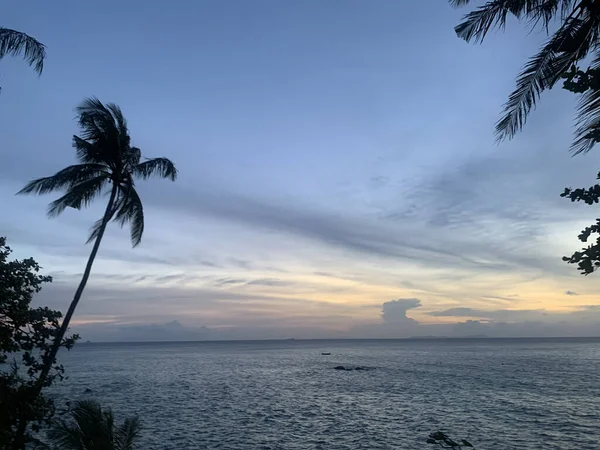 Mooi Tropisch Strand Met Palmbomen Palmen — Stockfoto