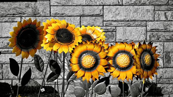 Sunflower Seeds Field Background Old Brick — Stock Photo, Image
