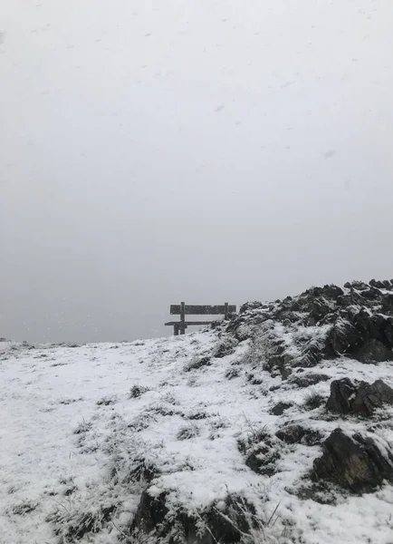 stock image beautiful view of the lake in the winter