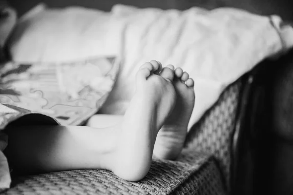 태어난 의발을 가까이 바라본다 — 스톡 사진