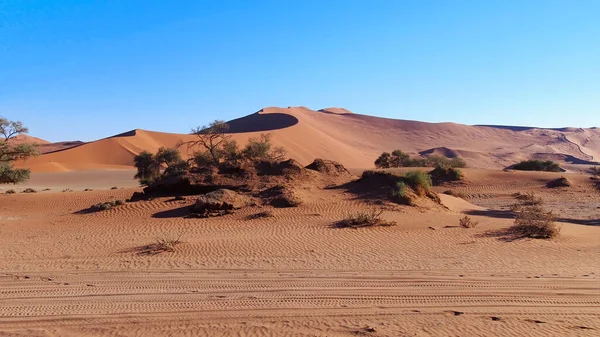 Gyönyörű Táj Sivatag Namib Naukluft Nemzeti Park Namíbia — Stock Fotó
