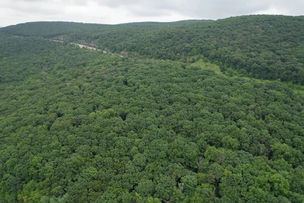 Luftaufnahme Des Waldes Den Bergen — Stockfoto