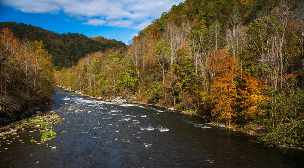 Piękny Jesienny Krajobraz Rzeką Lasem — Zdjęcie stockowe